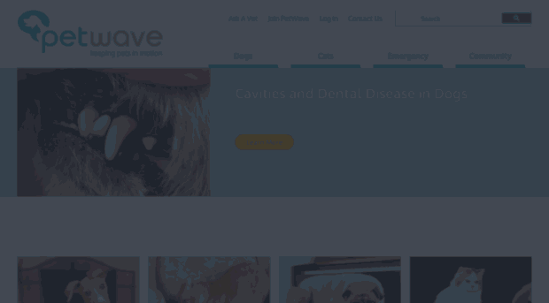 petwave.com