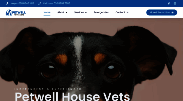 petwellhousevets.co.uk