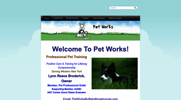 petworksbuffalo.com