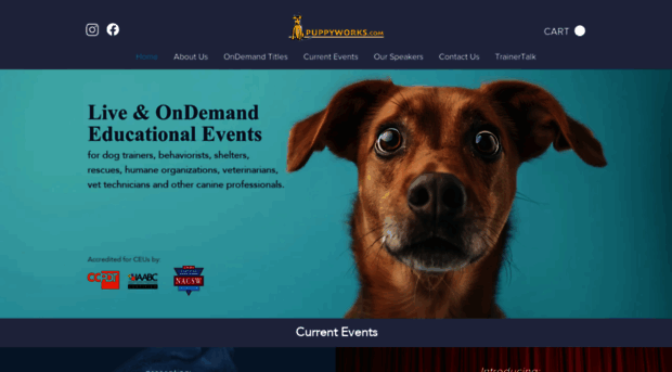 petworkshops.com