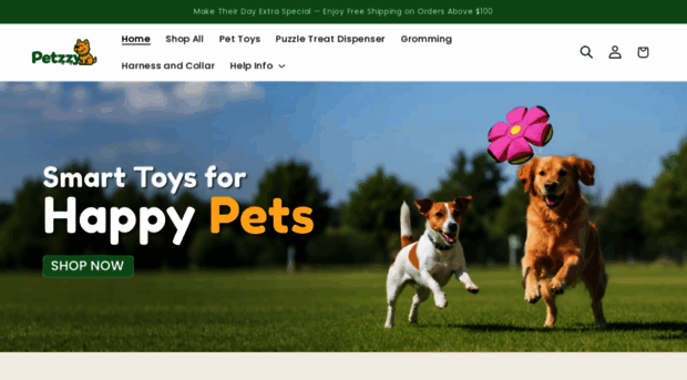 petzzy.it.com
