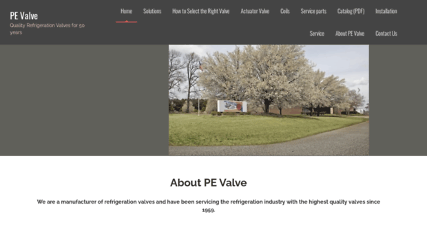 pevalve.com