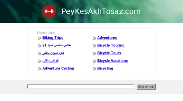 peykesakhtosaz.com