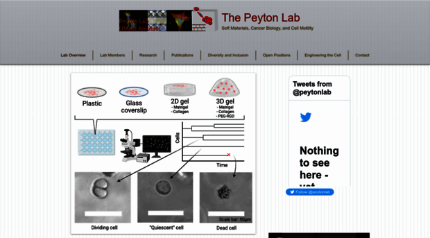 peytonlab.org