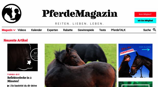 pferde-magazin.info
