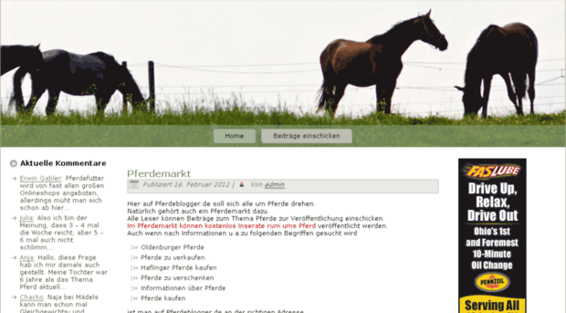 pferdeblogger.de