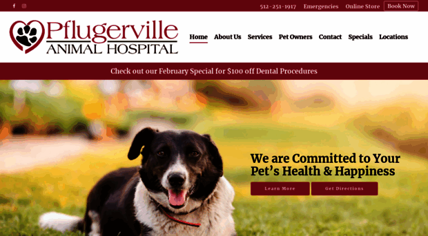 pflugervilleanimalhospital.com