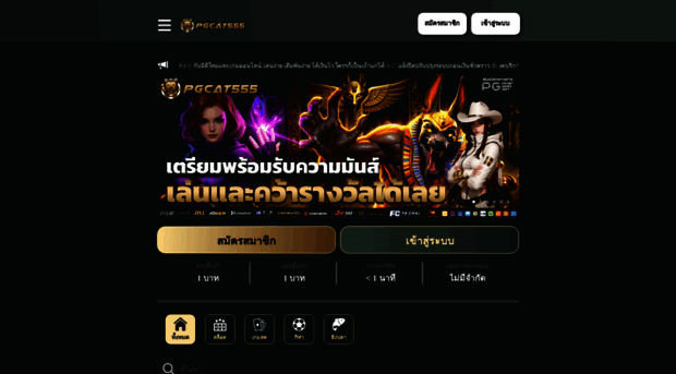 pgcat555.net