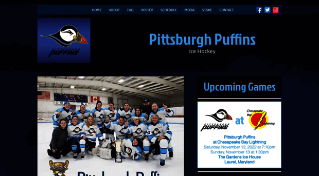 pghpuffins.com