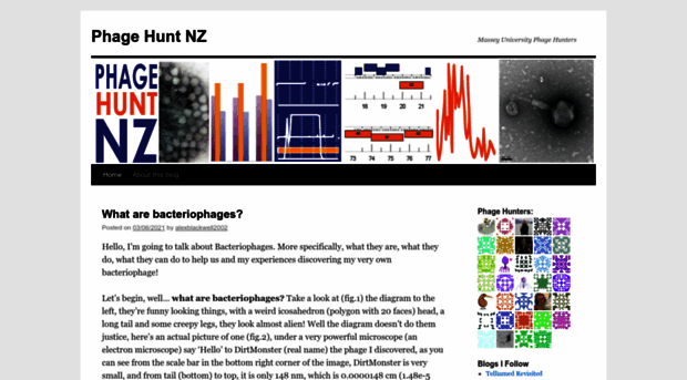 phagehuntnz.wordpress.com