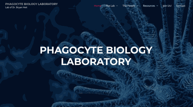 phagocytes.ca