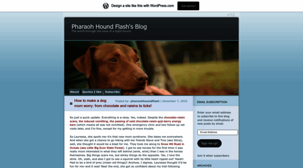 pharaohhoundflash.wordpress.com