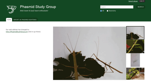 phasmid-study-group.org