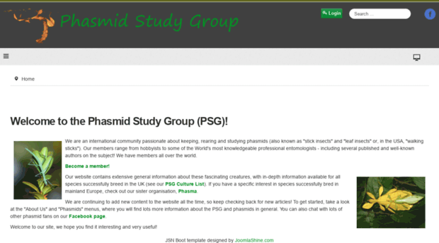 phasmidstudygroup.org