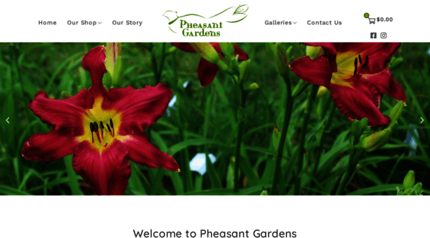 pheasantgardens.ca