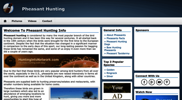 pheasanthuntinginfo.com