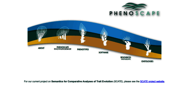 phenoscape.org