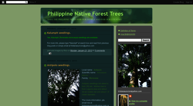 philippinenativeforesttrees.blogspot.com