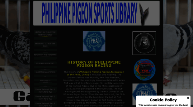 philippinepigeonsports.jimdo.com