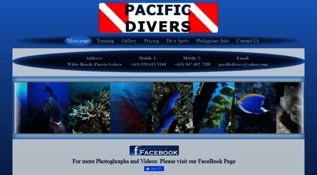 philippines-diving.com