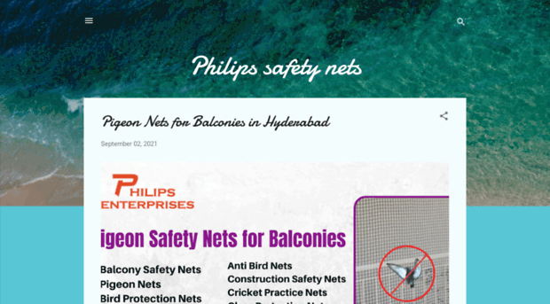 philipssafetynets.blogspot.com