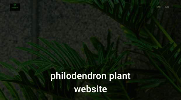 philodendronplant.com