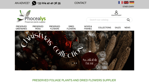 phocealys.com