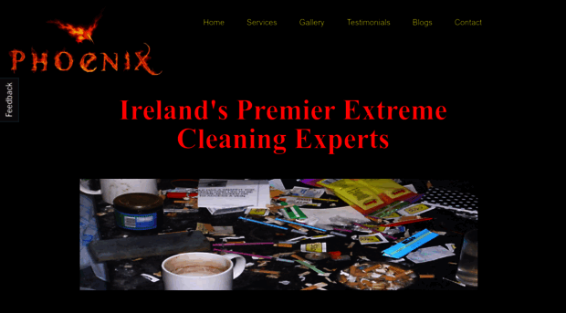 phoenix-extreme-cleaning-ireland.ie