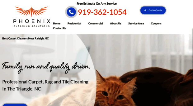 phoenixcleaningsolutions.com