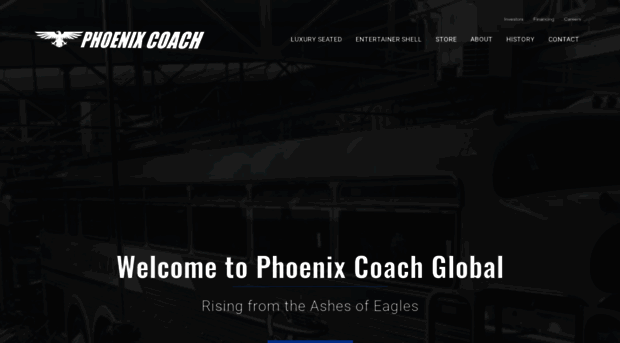 phoenixcoachglobal.com