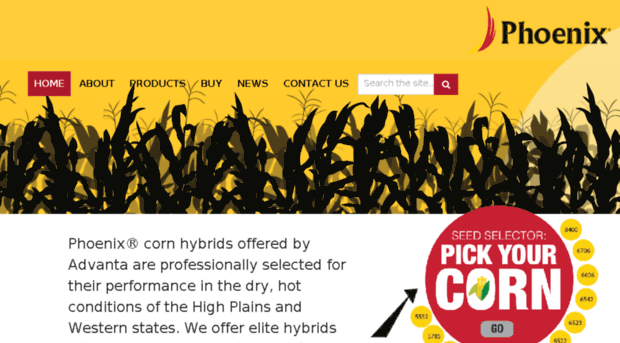 phoenixcorn.wpengine.com