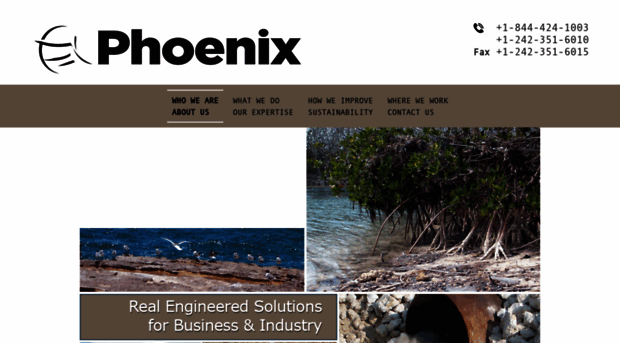 phoenixengineer.com