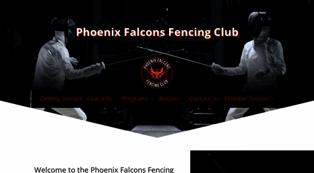 phoenixfalcons.com