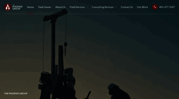 phoenixgroupenvironmental.com