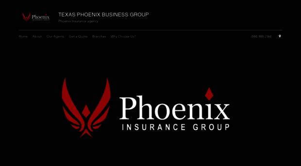 phoenixgrouptx.com