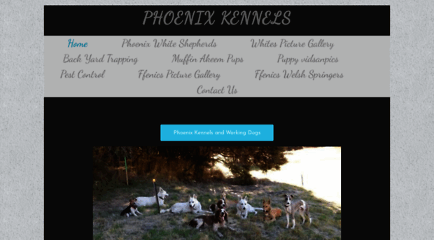 phoenixkennels.co.nz