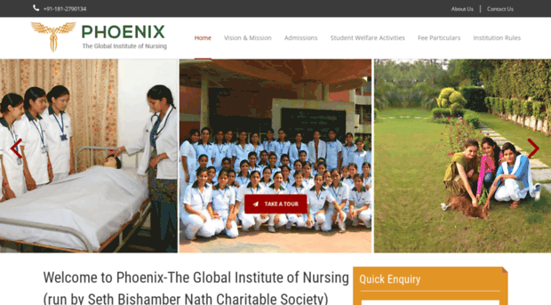 phoenixnursinginstitute.org