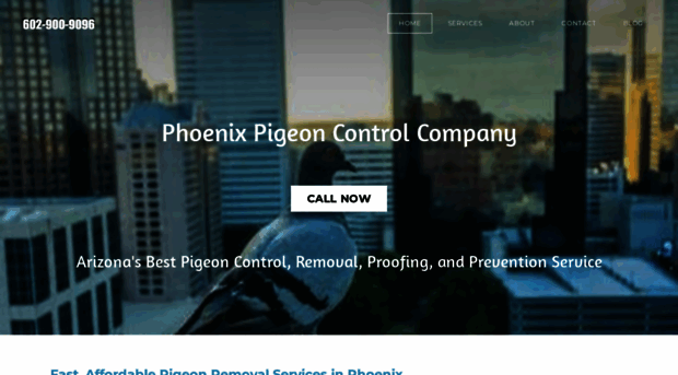 phoenixpigeons.com