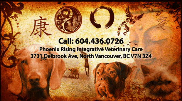 phoenixrisingvet.com