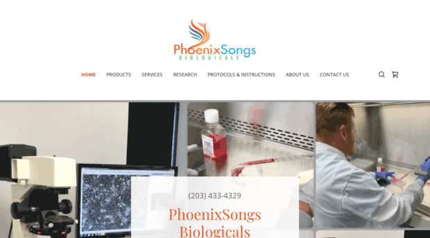 phoenixsongsbio.com