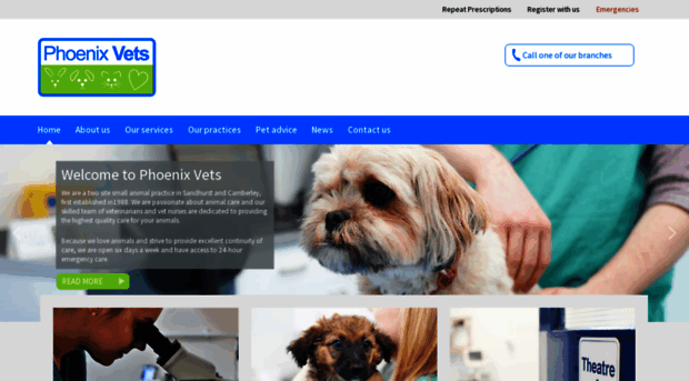 phoenixvets.co.uk