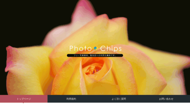 photo-chips.com