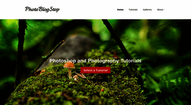 photoblogstop.com