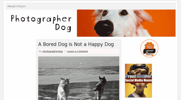 photographerdog.com