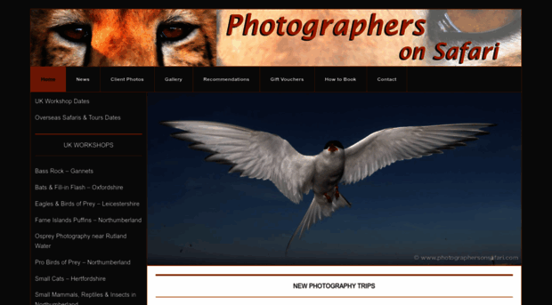 photographersonsafari.com