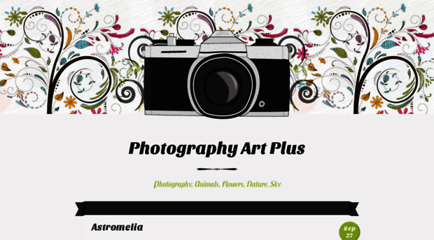 photographyartplus.wordpress.com