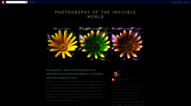 photographyoftheinvisibleworld.blogspot.com