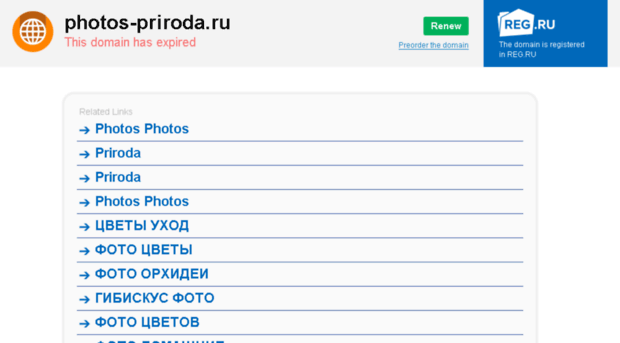 photos-priroda.ru