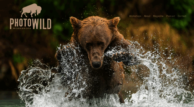 photowildworkshops.com