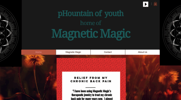 phountainofyouth.com